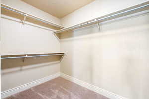 Walk in closet featuring carpet floors