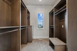 Her Spacious closet featuring light carpet