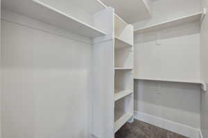 Spacious closet featuring dark colored carpet