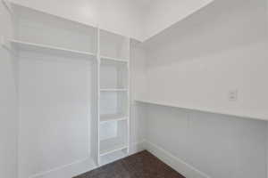 Spacious closet with carpet