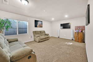 Basement Family Room