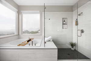 Bathroom with shower with separate bathtub