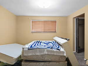 Bedroom with carpet and a closet