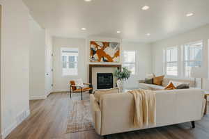 Living room featuring light hardwood / wood-style flooring