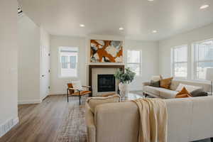 Living room featuring light hardwood / wood-style floors and a healthy amount of sunlight