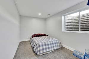 Bedroom with carpet flooring and multiple windows