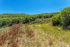 View of landscape