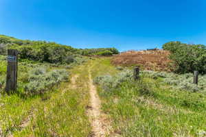 View of local wilderness featuring a rural view