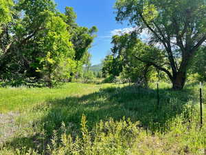 View of landscape