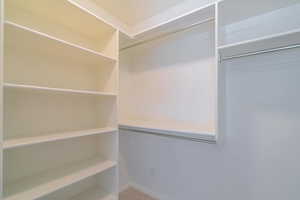 Walk in closet featuring carpet floors