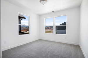 Spare room with carpet flooring and a wealth of natural light