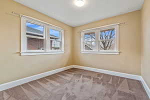 Carpeted spare room featuring plenty of natural light