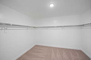 Spacious closet featuring carpet flooring