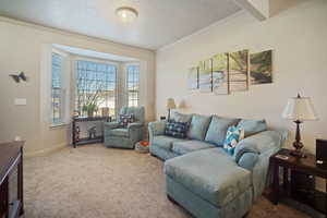 Living room featuring carpet floors and a textured ceiling