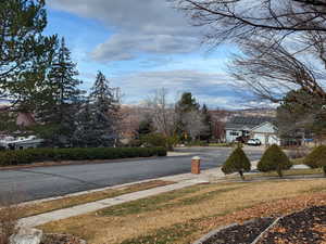 View from the front patio