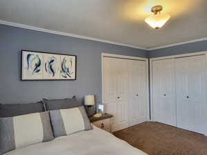 Master bedroom with multiple closets and ornamental molding