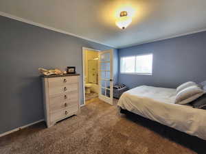 Master bedroom featuring ensuite bathroom, carpet floors, and ornamental molding