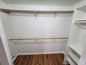 Spacious closet featuring dark wood-type flooring