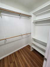 Spacious closet with dark wood-type flooring