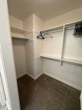 Spacious closet with dark carpet