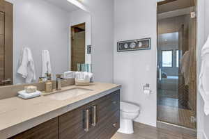 Bathroom featuring vanity, a shower with shower door, and toilet