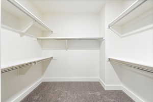 Walk in closet with carpet