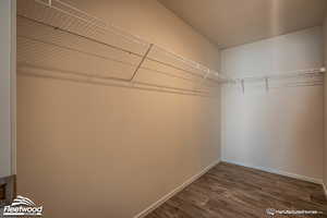 Spacious closet featuring dark hardwood / wood-style flooring