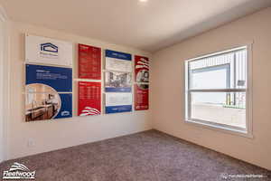 Unfurnished room featuring carpet flooring and sink