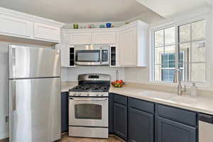 Kitchen with gray cabinetry, stainless steel appliances, sink, light hardwood / wood-style flooring, and white cabinetry