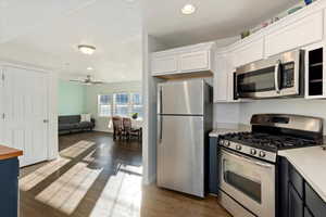 Kitchen with white cabinets, ceiling fan, dark hardwood / wood-style flooring, and stainless steel appliances