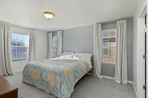 Carpeted bedroom featuring multiple windows