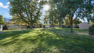 View of yard featuring a shed