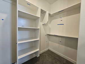 Spacious closet with dark colored carpet