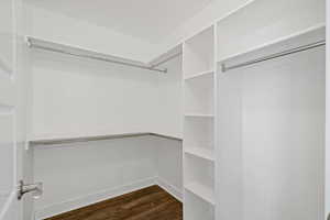 Walk in closet featuring dark hardwood / wood-style floors