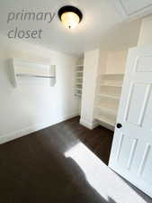 Walk in closet featuring dark colored carpet