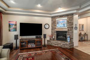 Living room featuring a raised ceiling, dark hardwood / wood-style flooring, and a fireplace