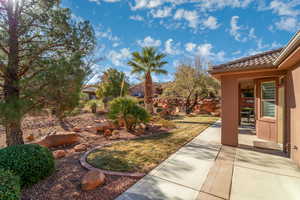 View of yard featuring a patio area