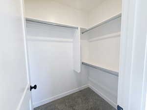 Walk in closet with dark carpet