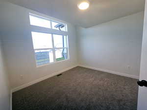 View of carpeted spare room