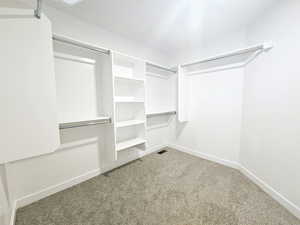 Spacious closet featuring carpet floors