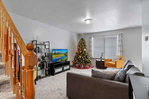 Carpeted living room with a textured ceiling