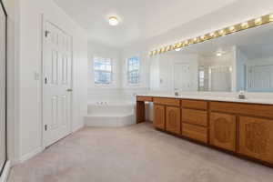 Bathroom with separate shower and tub and vanity