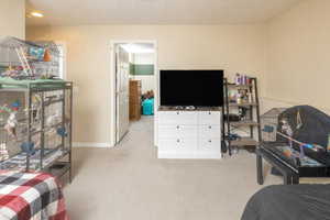 Carpeted bedroom with a textured ceiling