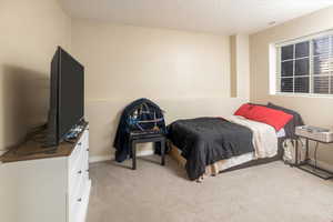 Carpeted bedroom with a textured ceiling