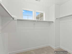 Spacious closet with light carpet