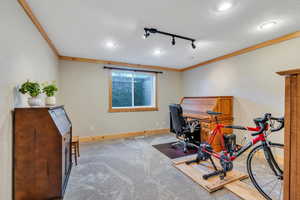 Basement office or exercise room