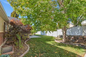 Shady backyard with mature trees