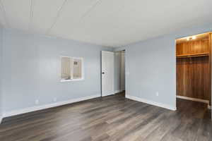 Bedroom with a closet, a spacious closet, and dark hardwood / wood-style flooring