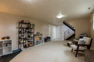 Basement with a textured ceiling