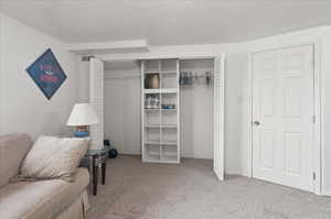 Living area with carpet flooring and a textured ceiling